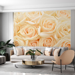  Pale Orange Rose Flowers Wallpaper