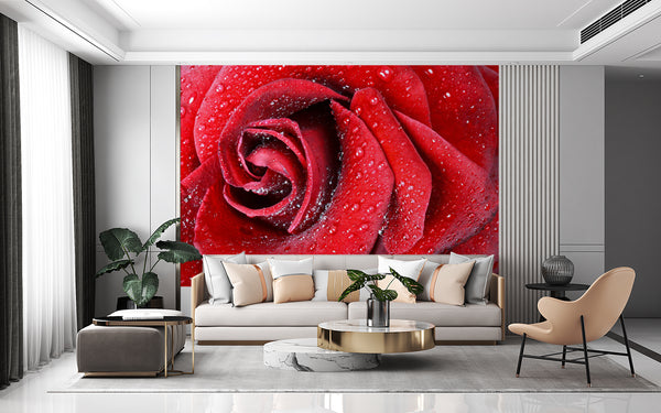 Flower Wallpaper, Non Woven, Red Rose Flower Wallpaper, Water drops Wall Mural