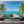 Palm Trees Wall Mural | Sea Wall Mural