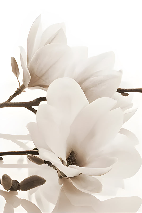 Triptic cu flori mari albe, set de 3 imprimeuri