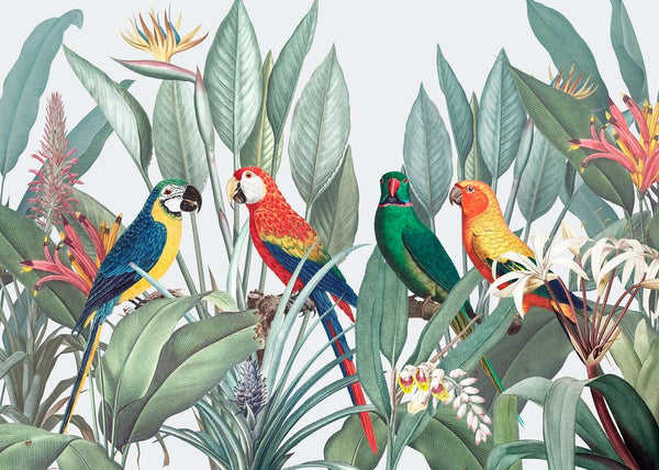 Modular picture, Parrots