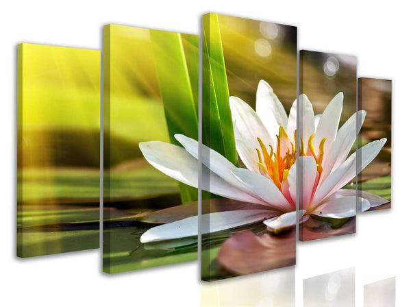 Multi Canvas Prints  - Lily on the background of the bright sun