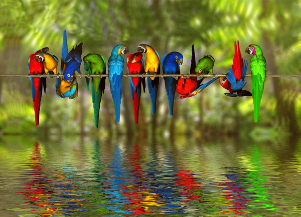Modular picture, Colored parrots