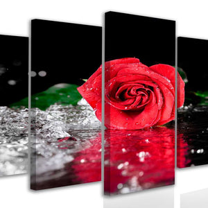 Multi Canvas Prints  - Red rose in water drops