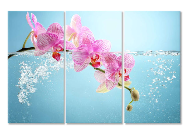 Modular picture, Pink orchids on a light blue background