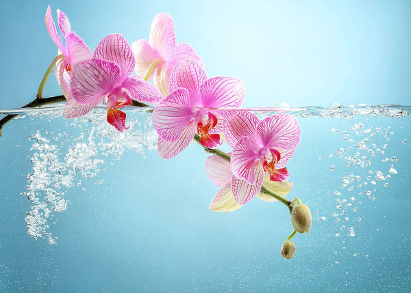 Modular picture, Pink orchids on a light blue background