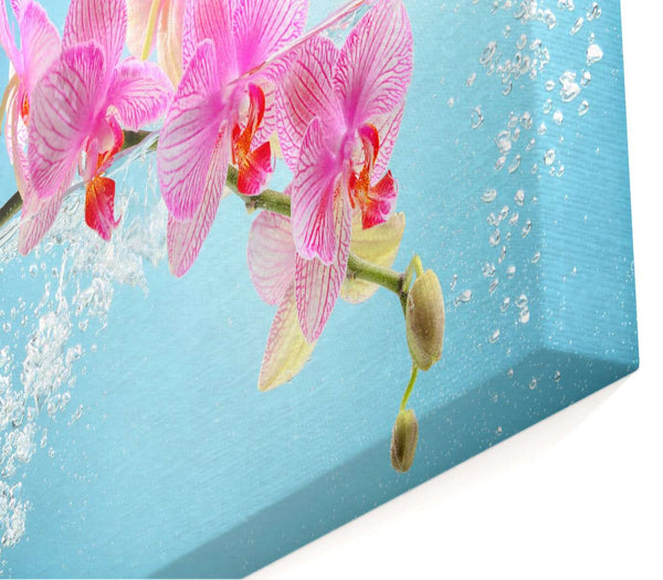 Modular picture, Pink orchids on a light blue background