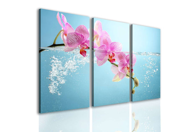 Multi Picture Canvas  -  Pink orchids on a light blue background