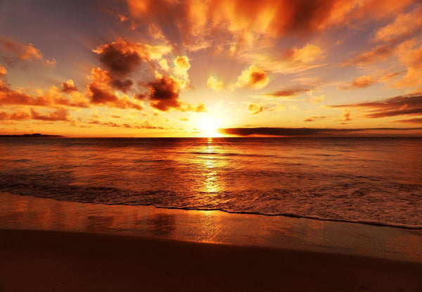 Modular picture, Golden sunset